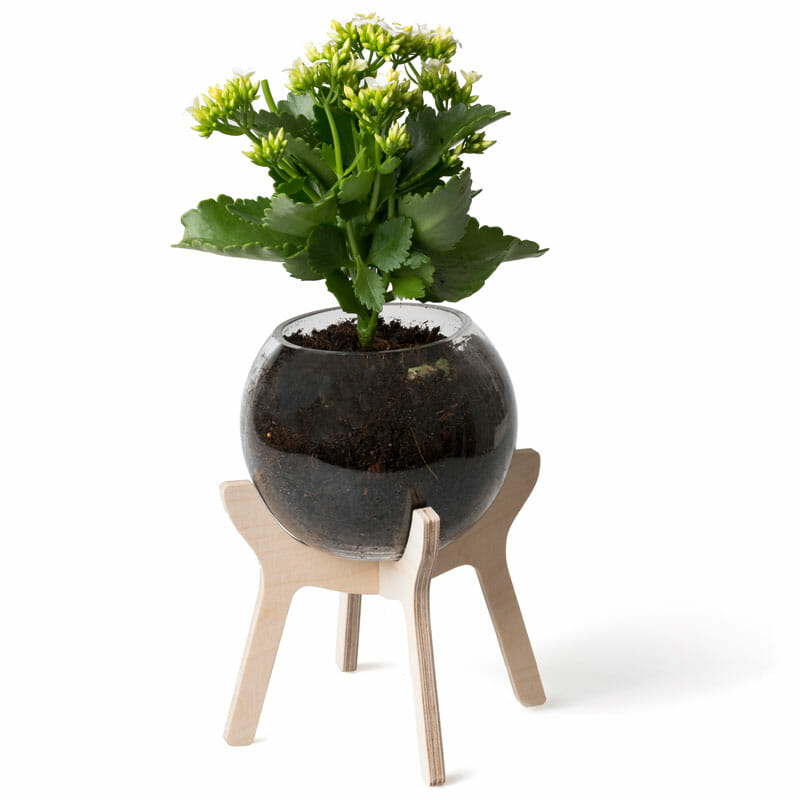 Poitjie Pot Plant Stand with Glass Bowl