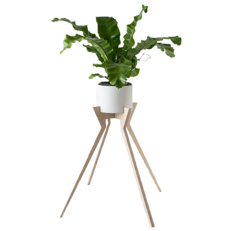 Xeno Pot Plant Stand with Ceramic Pot
