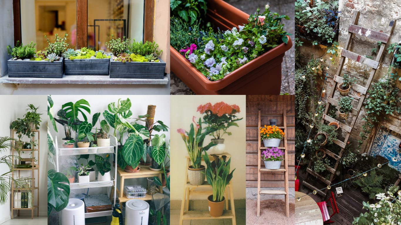 Floor Standing Container ideas for balcony gardens