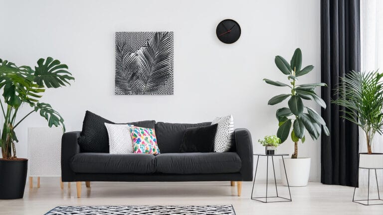 Black & White Decor Made Simple - Add Pops of Colour