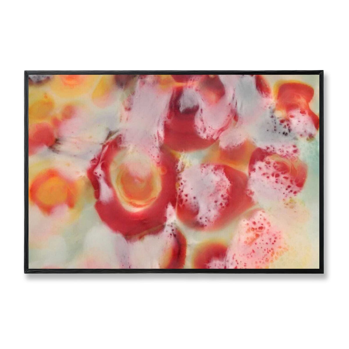 Nectarine - stretched canvas print Black floating frame