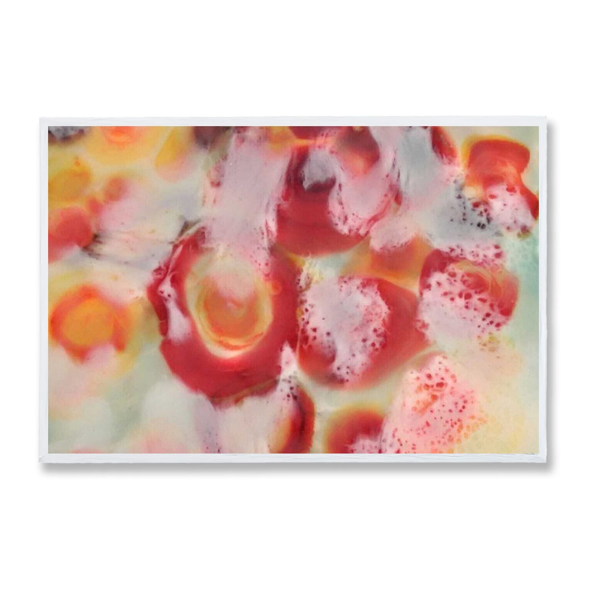 Nectarine - stretched canvas print White floating frame