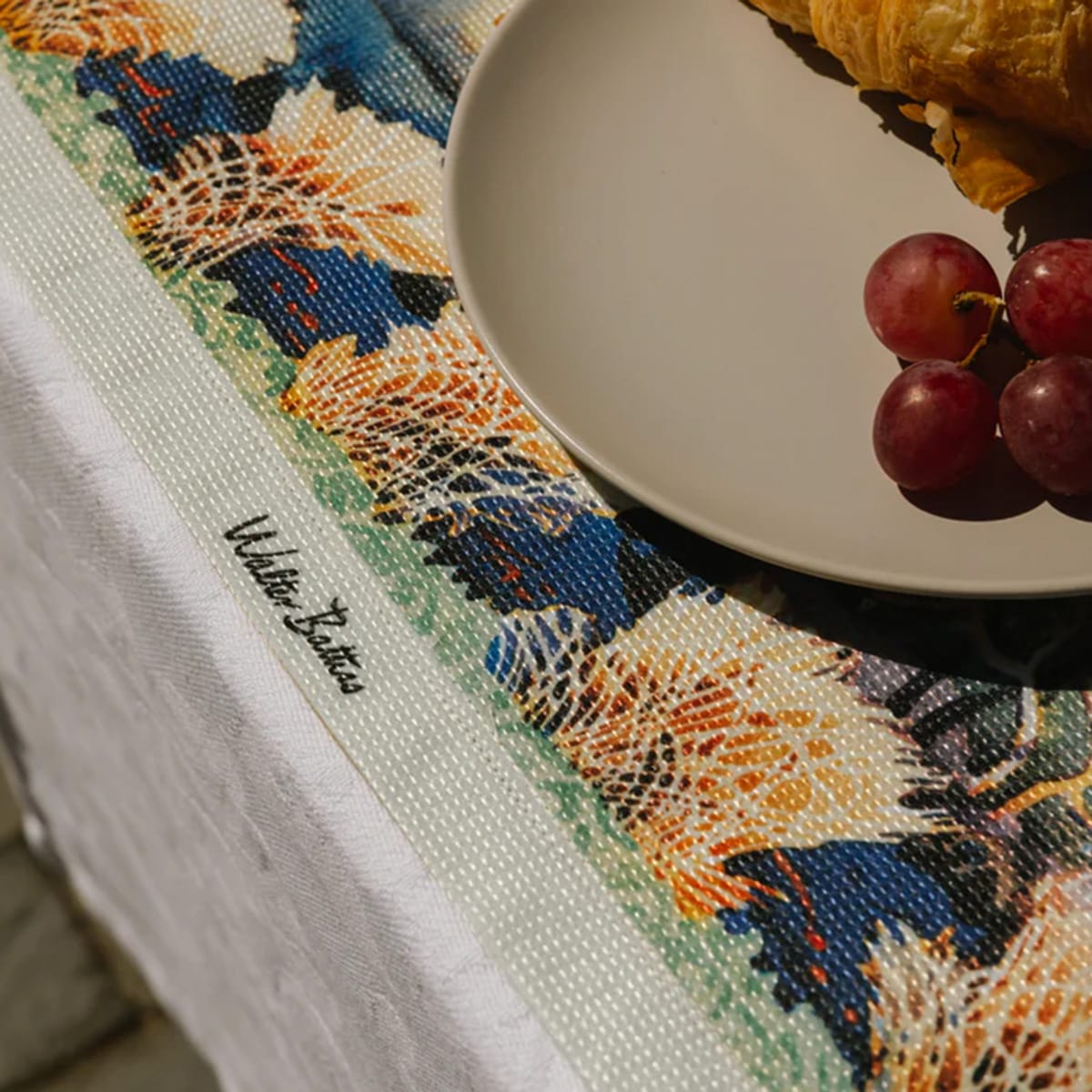 Karoo Birds In Flight Placemats closeup